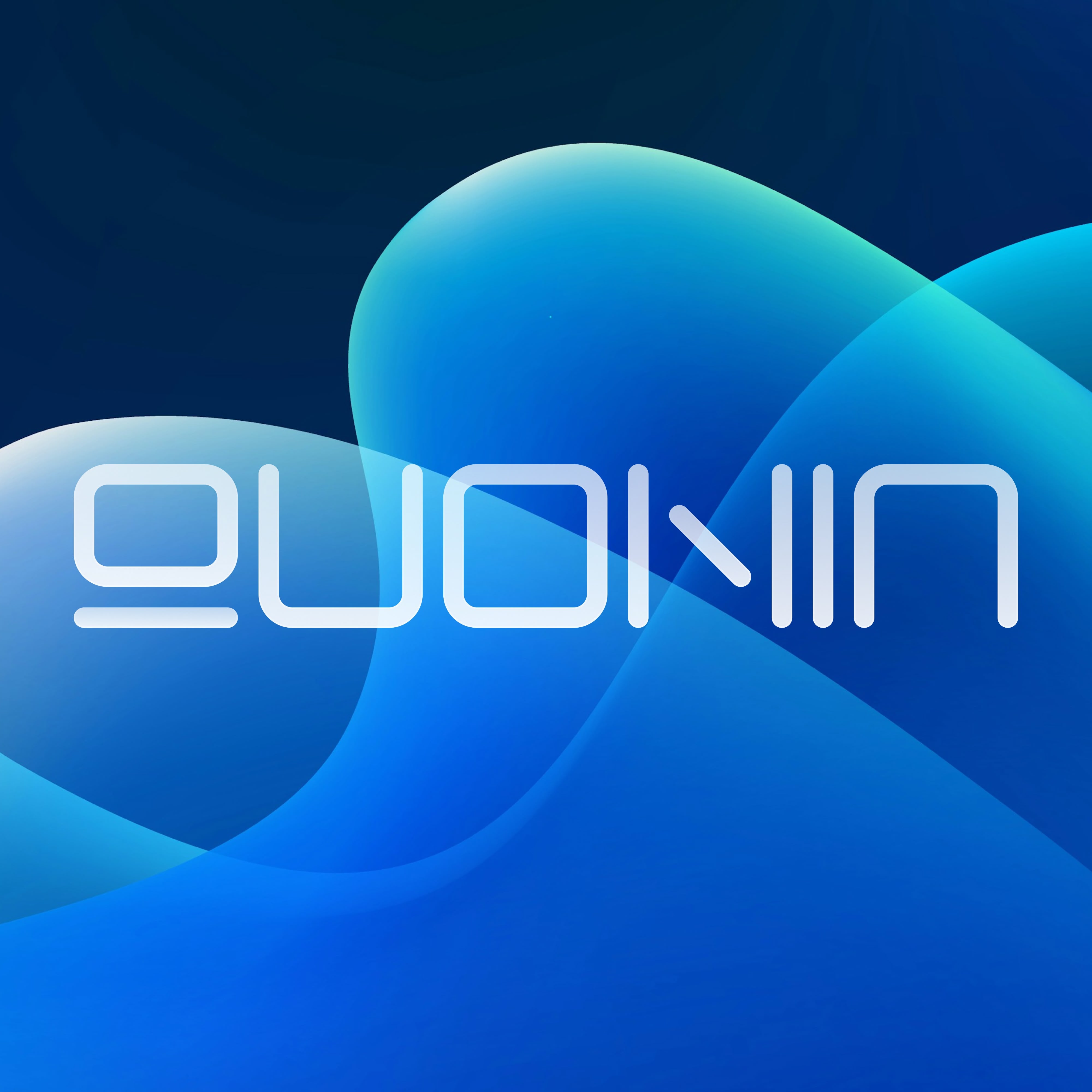 QUOININ Wordmark